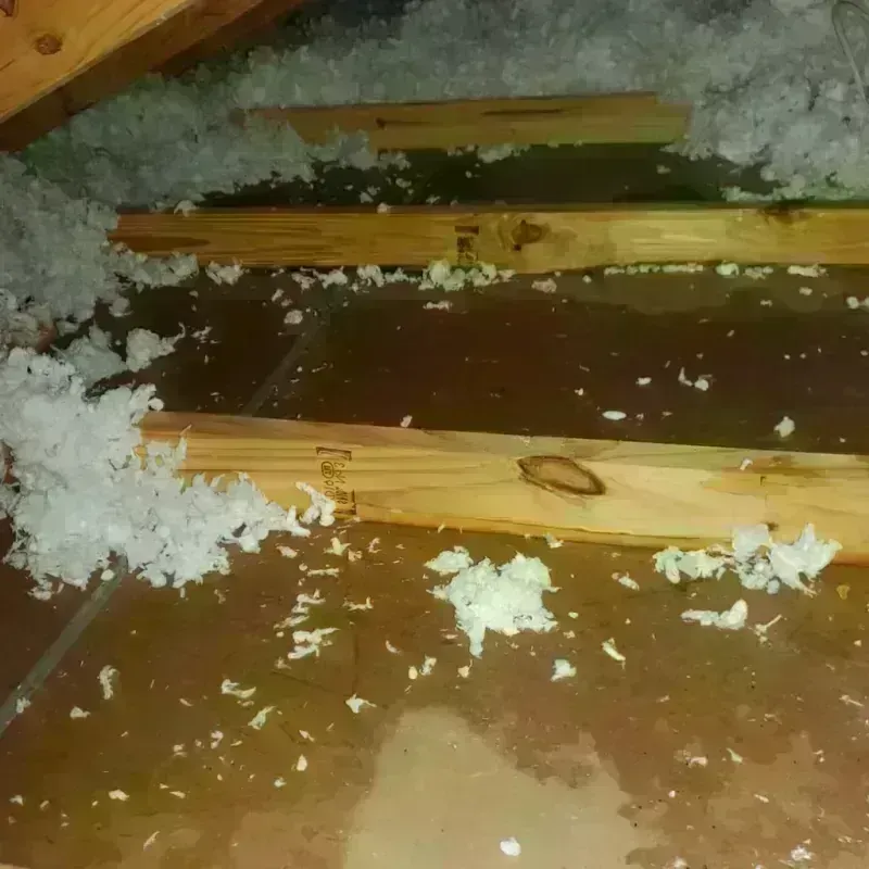 Attic Water Damage in Paris, KY